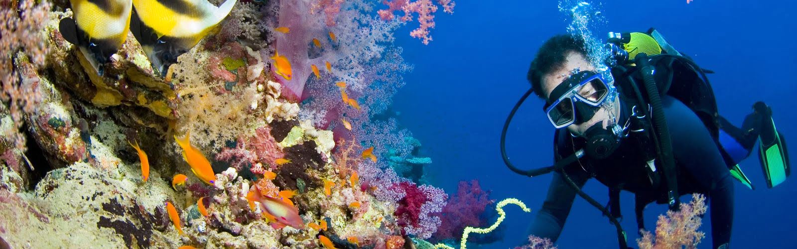 Underwater life